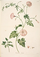  no thumbnail available