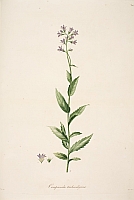  no thumbnail available