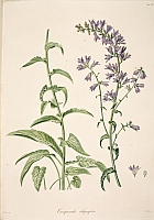  no thumbnail available