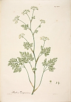  no thumbnail available