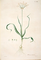  no thumbnail available