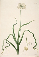  no thumbnail available