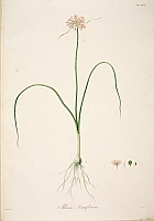  no thumbnail available