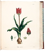  no thumbnail available