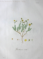  no thumbnail available