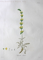  no thumbnail available