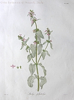  no thumbnail available