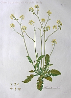  no thumbnail available