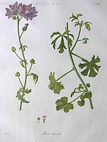  no thumbnail available