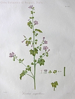  no thumbnail available