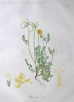  no thumbnail available