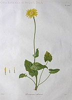  no thumbnail available