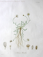  no thumbnail available