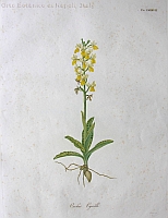  no thumbnail available