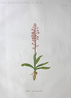  no thumbnail available