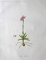  no thumbnail available