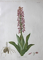  no thumbnail available