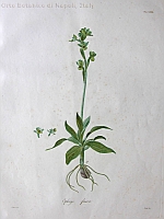  no thumbnail available