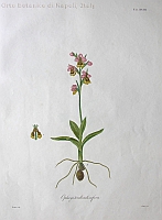  no thumbnail available