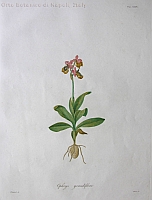  no thumbnail available