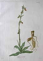  no thumbnail available