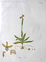  no thumbnail available