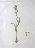  no thumbnail available