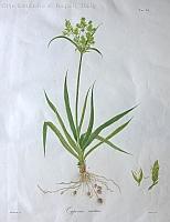  no thumbnail available