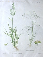  no thumbnail available