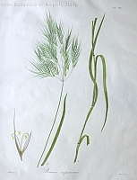  no thumbnail available