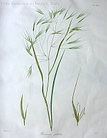  no thumbnail available