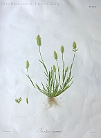  no thumbnail available