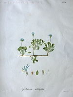  no thumbnail available