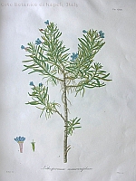  no thumbnail available