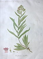  no thumbnail available