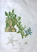  no thumbnail available