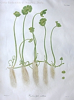  no thumbnail available