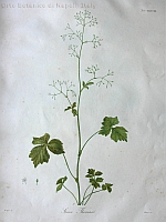  no thumbnail available