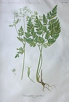  no thumbnail available