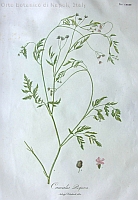  no thumbnail available