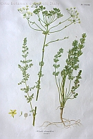  no thumbnail available