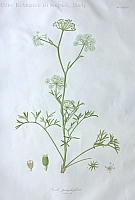  no thumbnail available