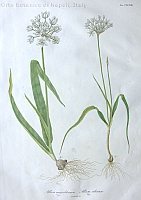  no thumbnail available