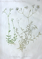  no thumbnail available