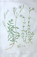  no thumbnail available