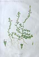  no thumbnail available