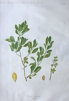  no thumbnail available