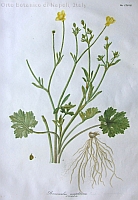  no thumbnail available