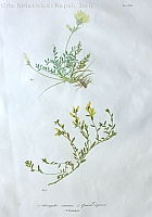  no thumbnail available