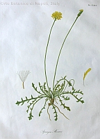  no thumbnail available